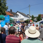 Stephanshausen DEMO Windwahn-20140719DSC08218.jpg